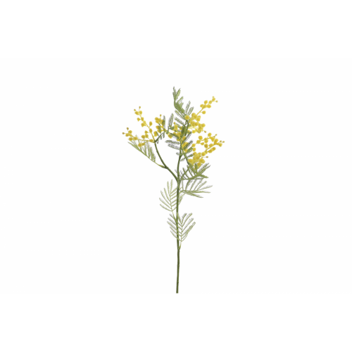 FLOR 4685 -66 cms. MIMOSA-