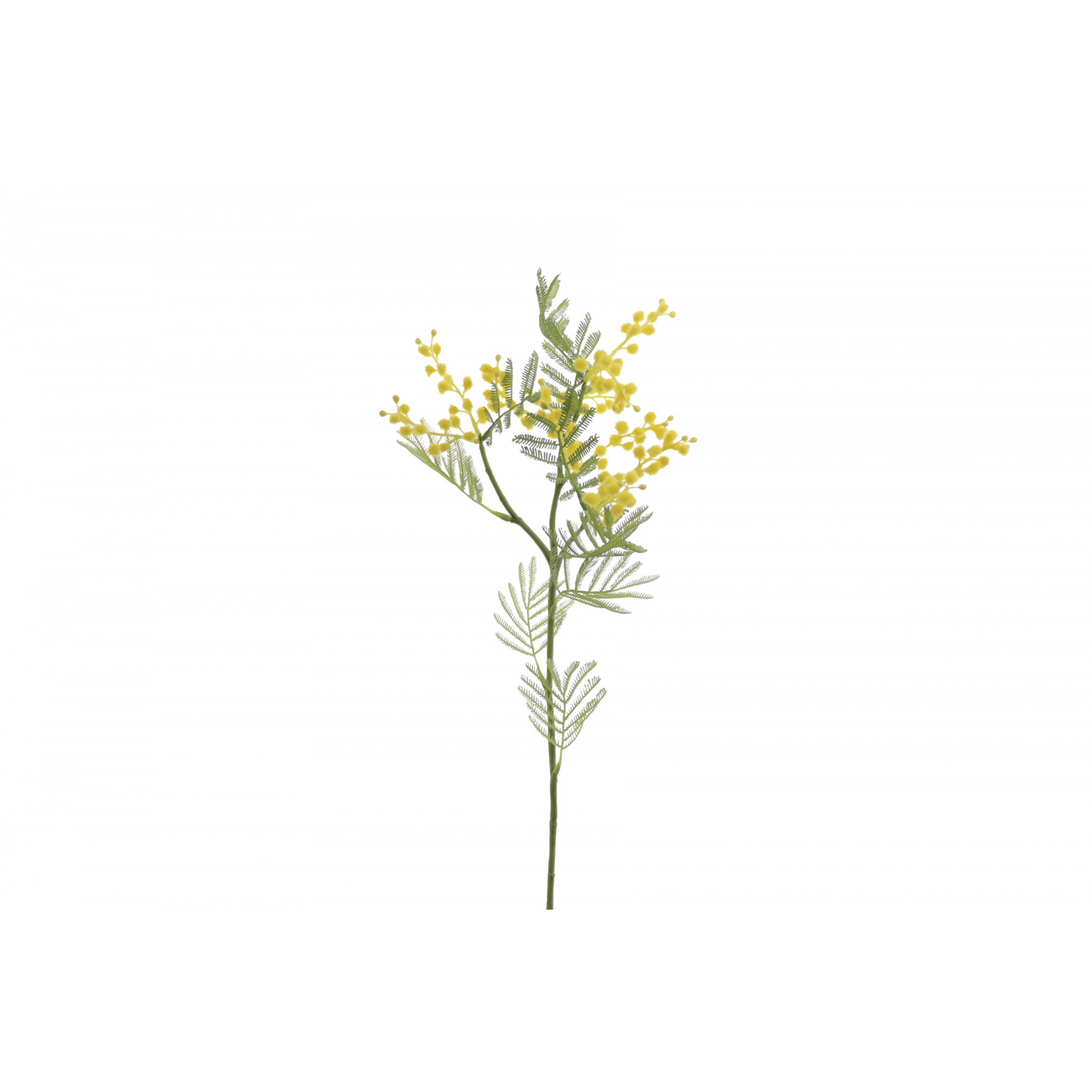 FLOR 4685 -66 cms. MIMOSA-