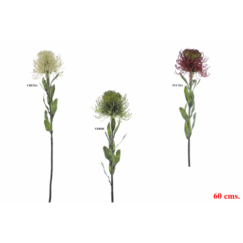 FLOR 6894 -60 cms. PROTEA-