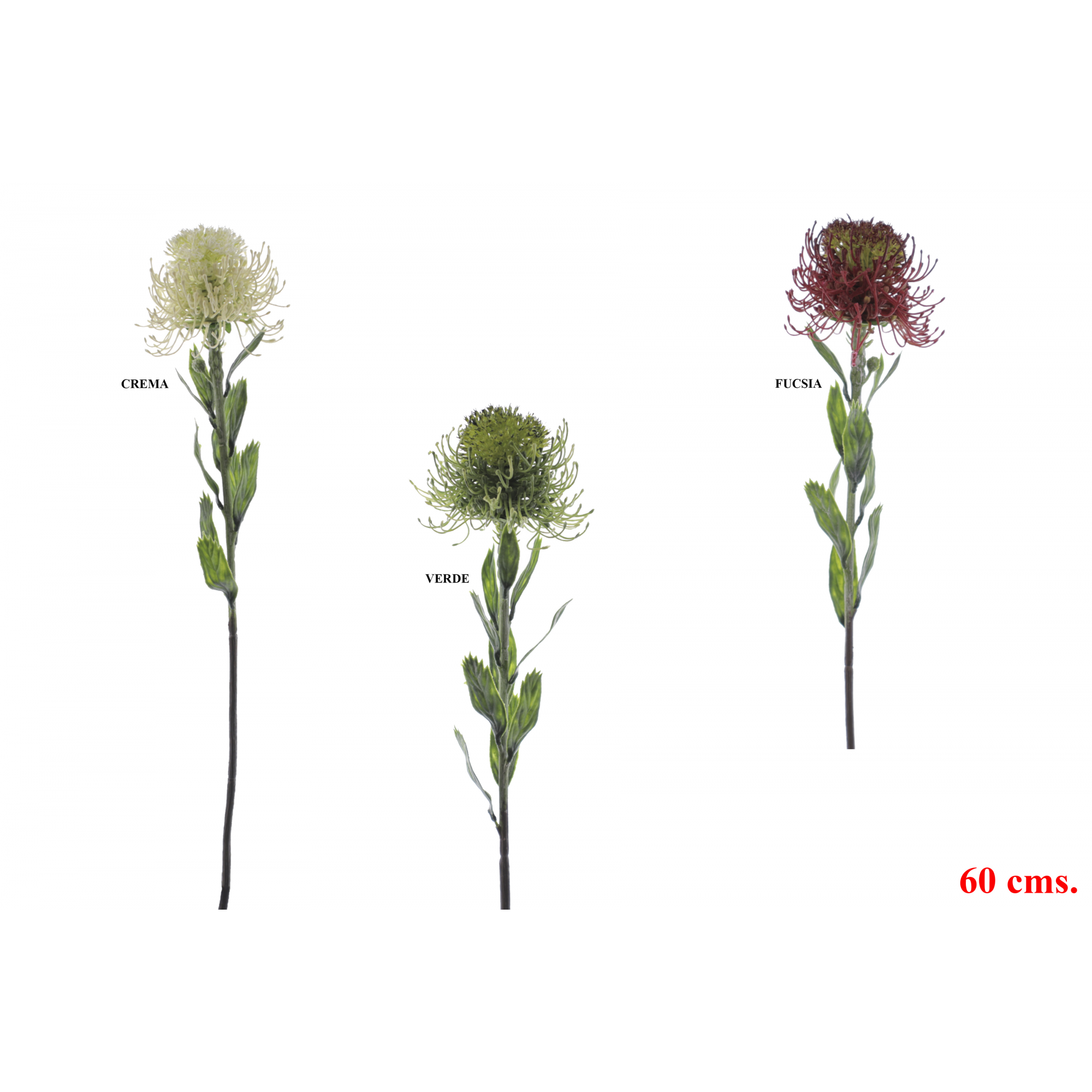 FLOR 6894 -60 cms. PROTEA-