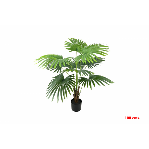 PLANTA 7451 -100 cms. PALMA-
