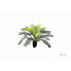 PLANTA 7471 -120 cms. CICA-
