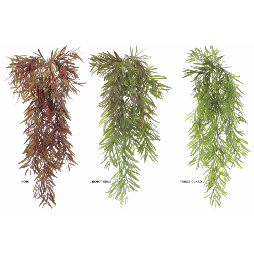 PLANTA 4160 -65 cms. ROSMARINUS-