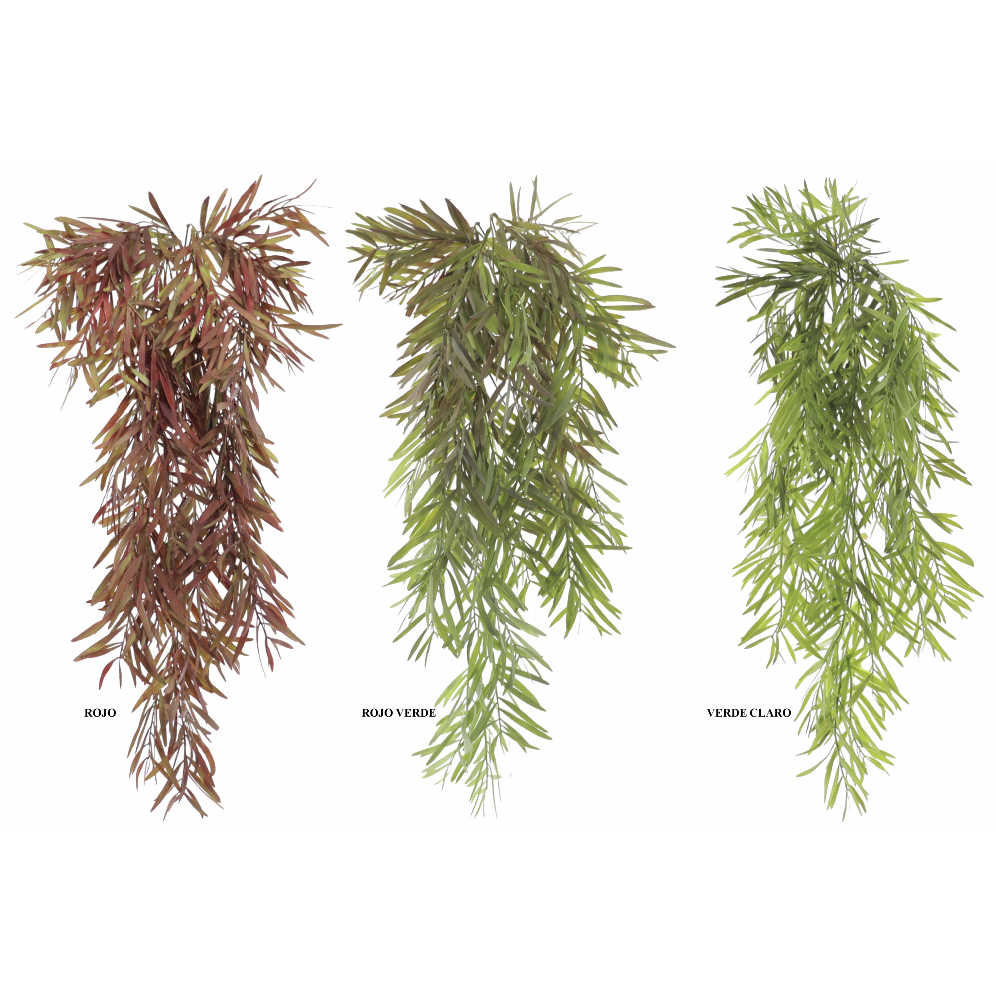 PLANTA 4160 -65 cms. ROSMARINUS-