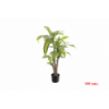 PLANTA 7527 -100 cms. DRACENA-
