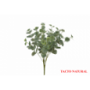VERDE 638 -48 cms. EUCALIPTO x15-