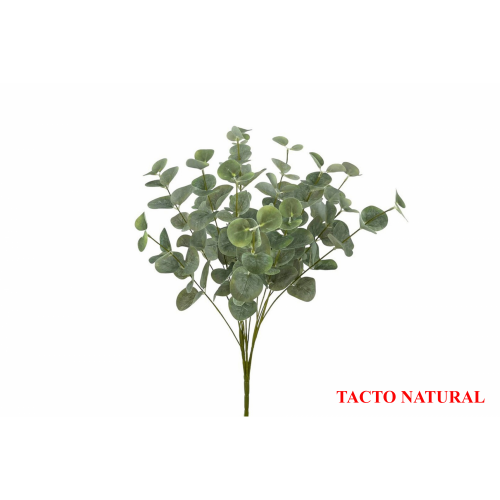 VERDE 638 -48 cms. EUCALIPTO x15-