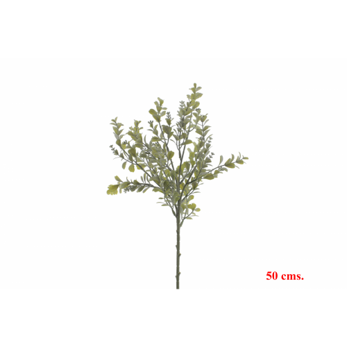 VERDE 2385 -50 cms. BOJ-