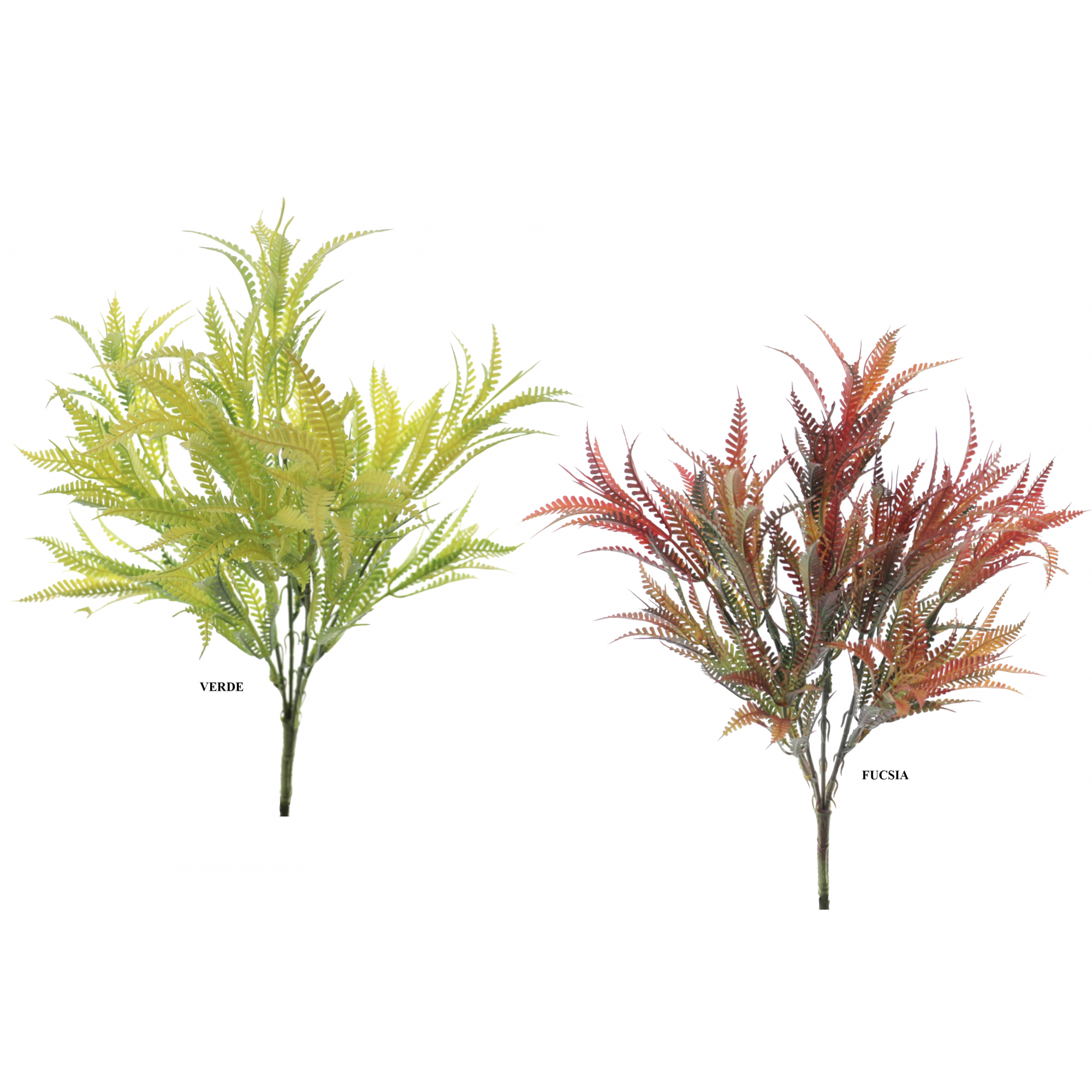 VERDE 9634 -40 cms. DAVALIA x5-