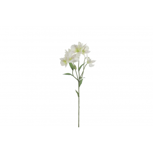 FLOR 4653 - 65 cms. ALSTROEMERIA x5-