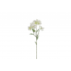 FLOR 4653 - 65 cms. ALSTROEMERIA x5-