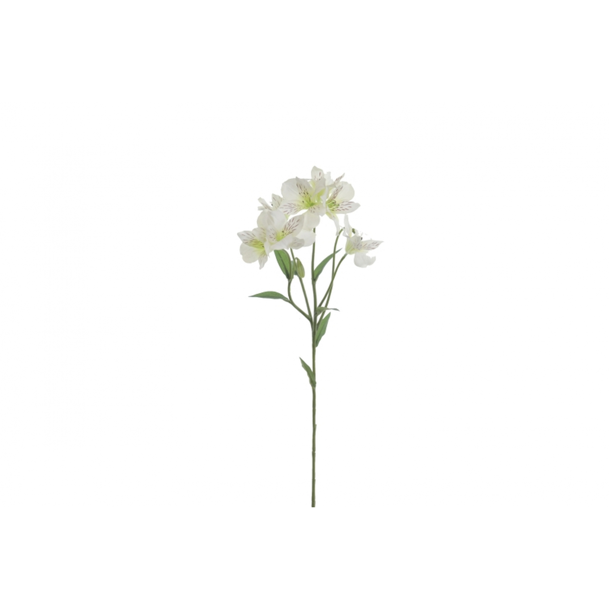 FLOR 4653 - 65 cms. ALSTROEMERIA x5-