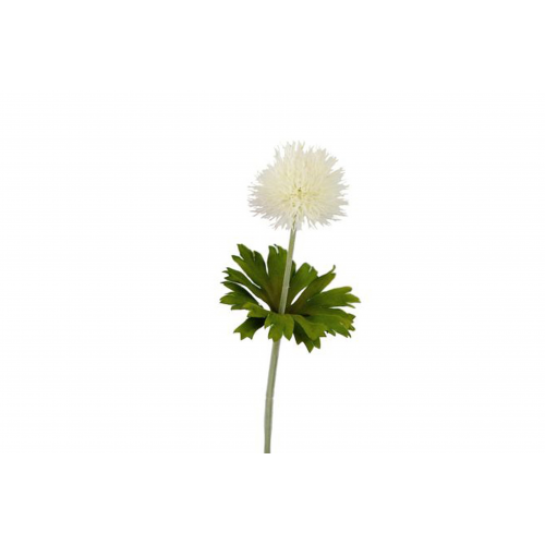 FLOR 704 -37x5,5 ALIUM-