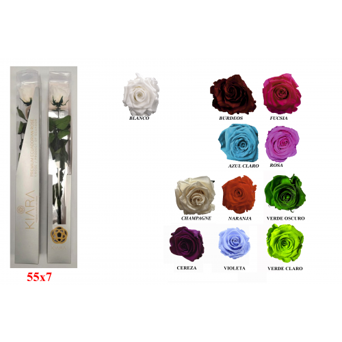 ROSA 55 -55x7 ESTUCHE PRESERVADA-