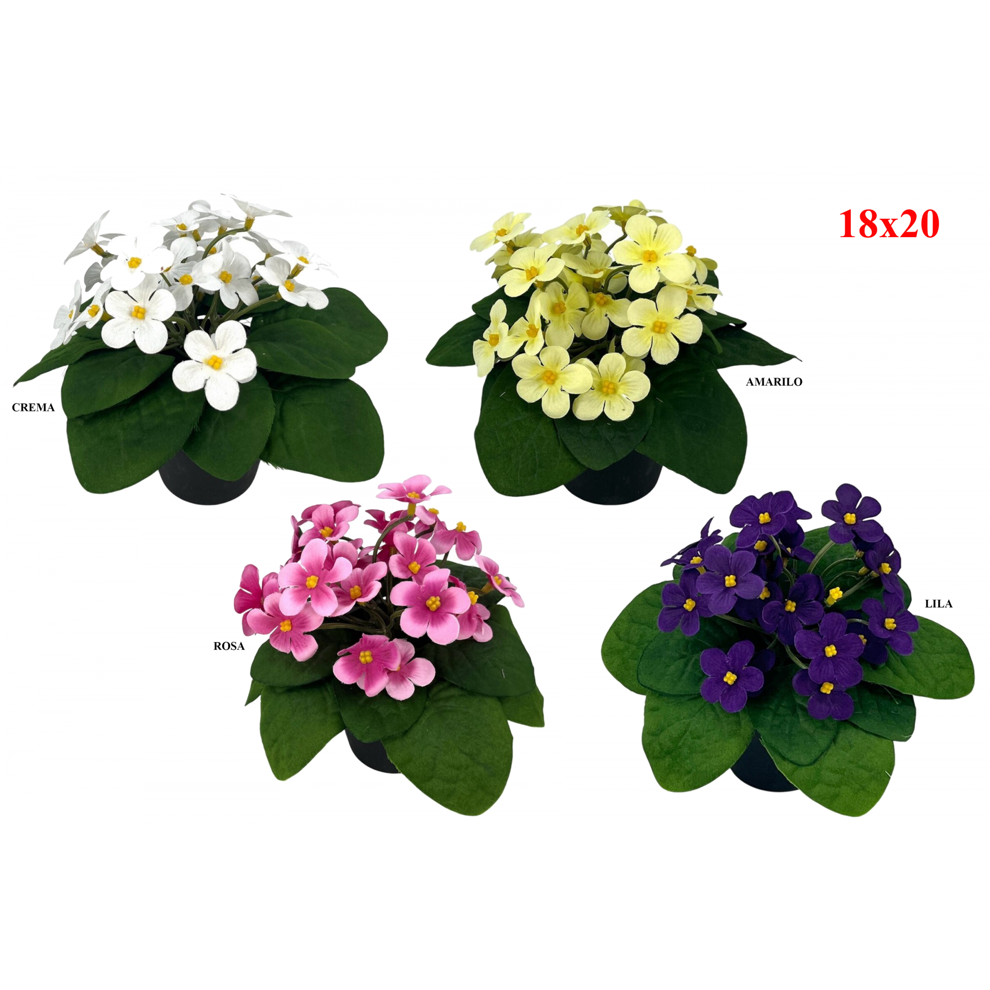 PLANTA 776 -18x20 KALANCHOE-