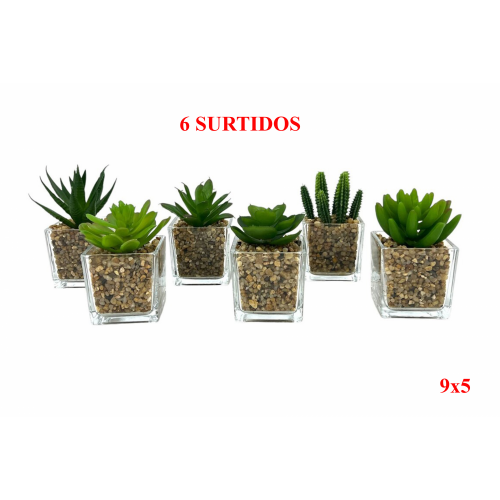PLANTA 7621 -9x5 SUCULENTA CON CRISTAL-