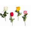 FLOR 1789 -67 cms. (6x6) ROSA-