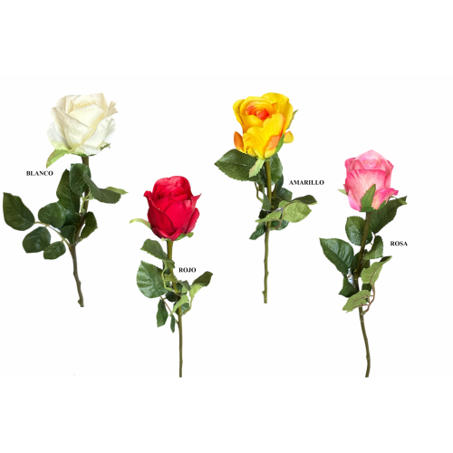 FLOR 1789 -67 cms. (6x6) ROSA-