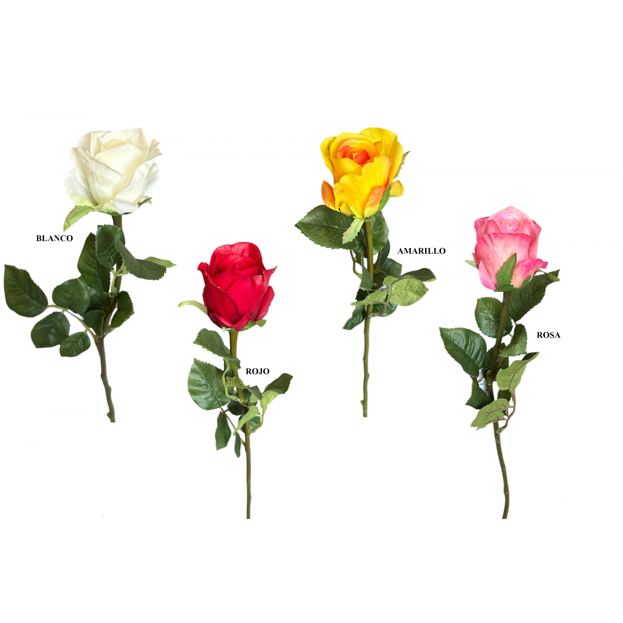 FLOR 1789 -67 cms. (6x6) ROSA-