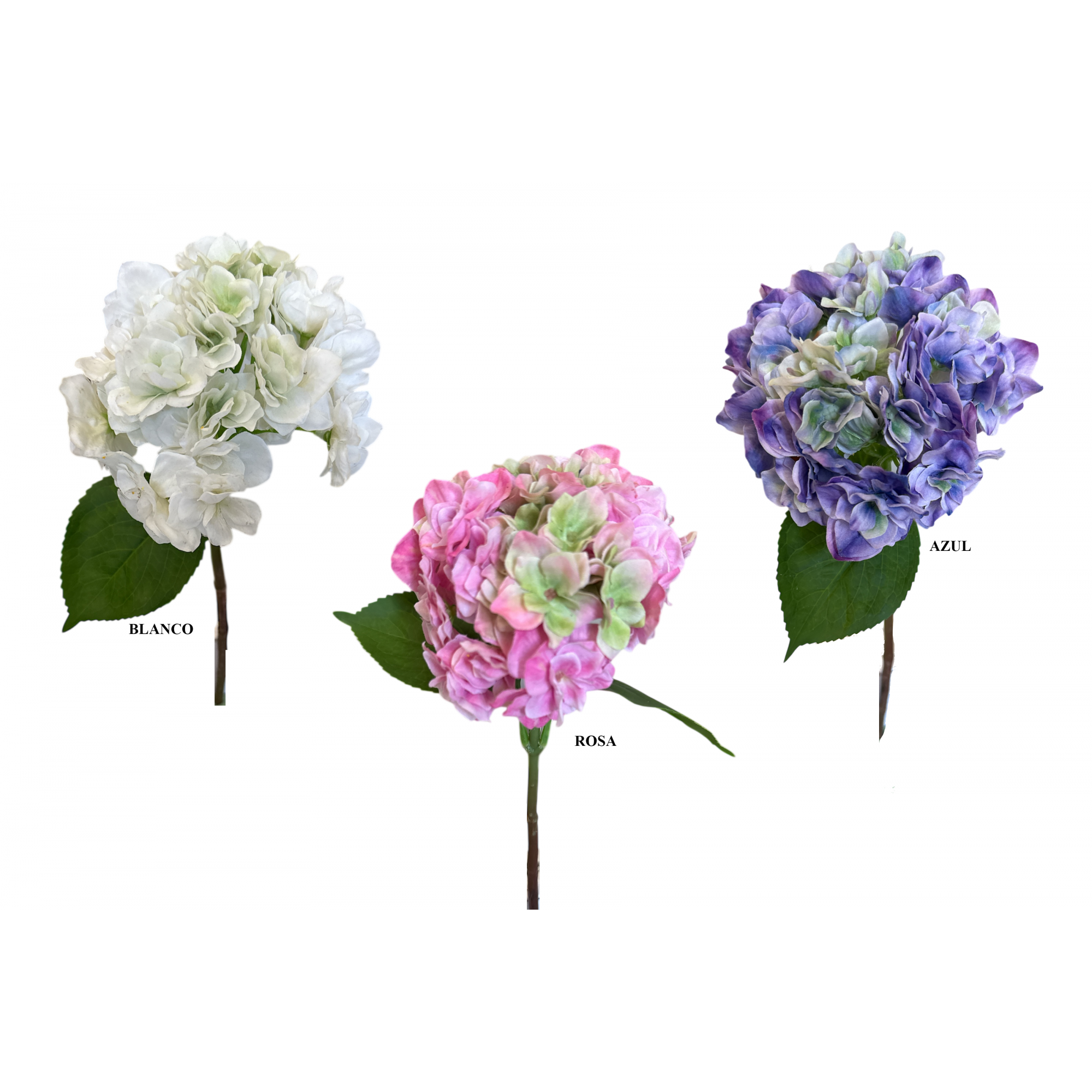 FLOR 1860 -41 cms. (10x17) HORTENSIA-