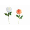 FLOR 3072 -55 cms.  (9x10) ZINNIA-