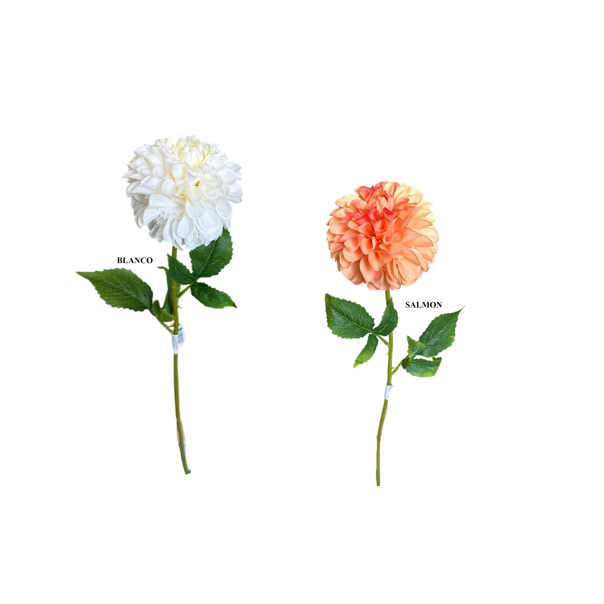 FLOR 3072 -55 cms.  (9x10) ZINNIA-