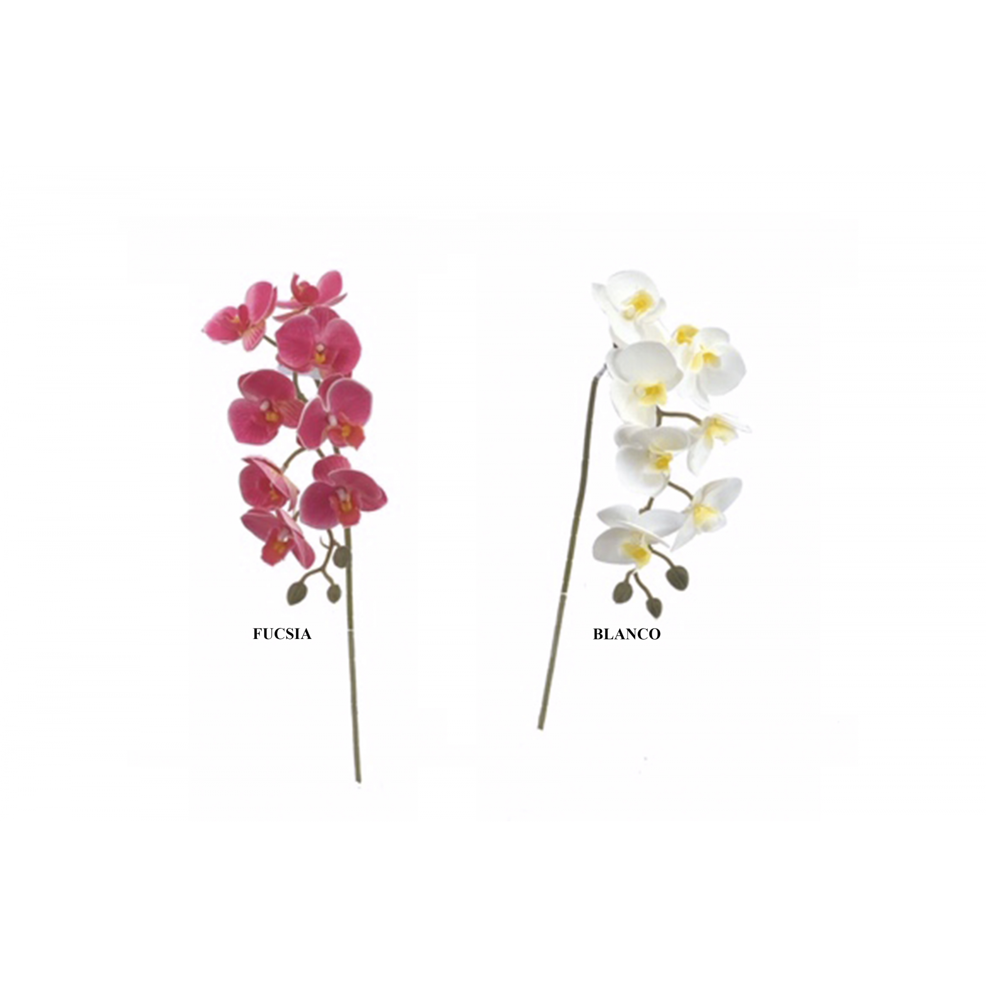 FLOR 6534 -77 cms. MINI ORQUIDEA x8-