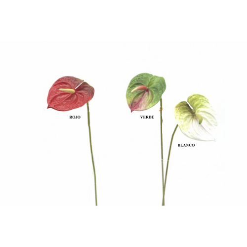FLOR 8529 -61 cms. (13x11) ANTHURIUM-