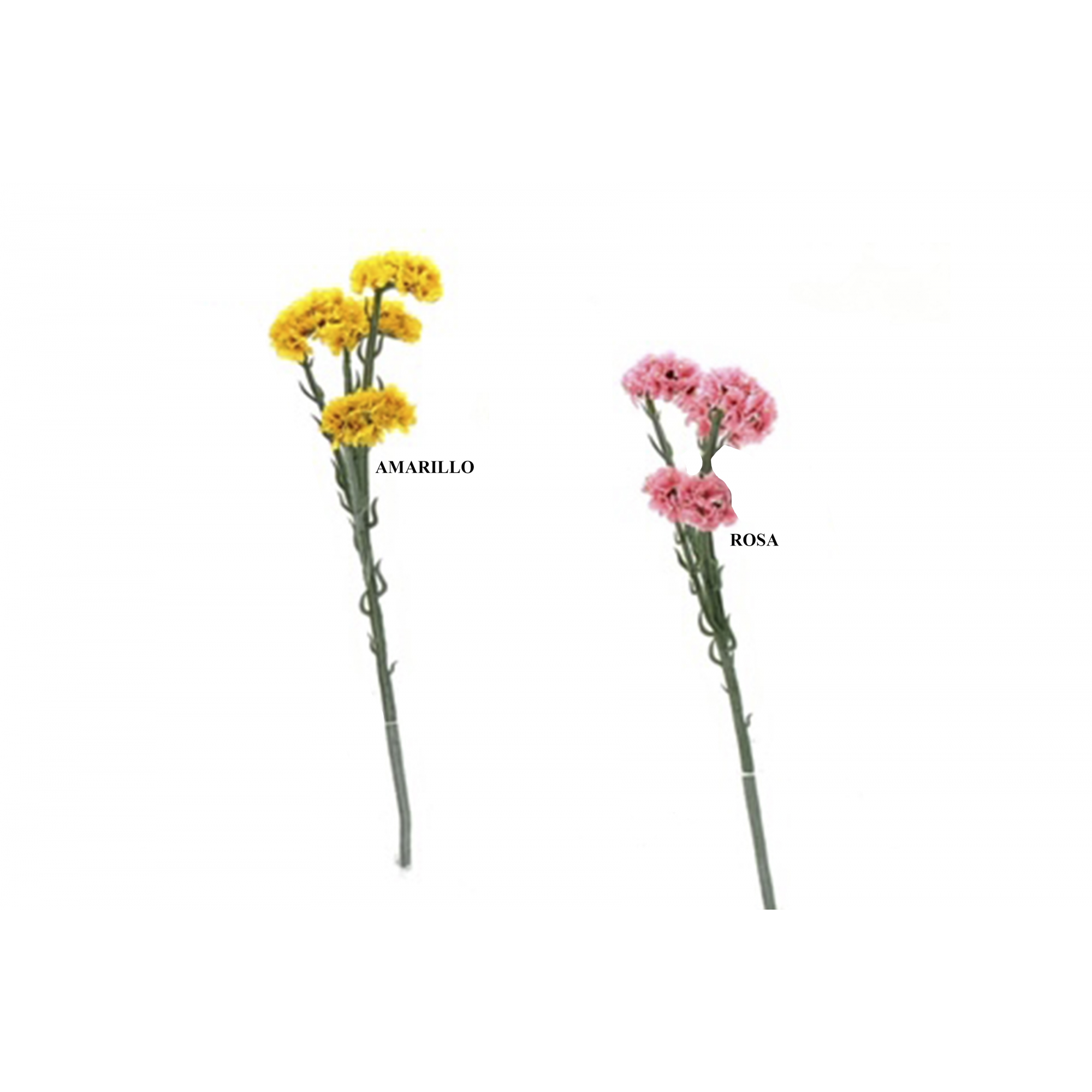 FLOR 8773 -64 cms. STATICE x4-