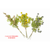 FLOR 1007 -120 cms. SILVESTRE x4 (24 SURTIDOS)-