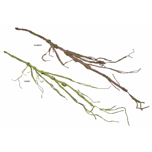 VERDE 1110 -120 cms.  RAIZ-