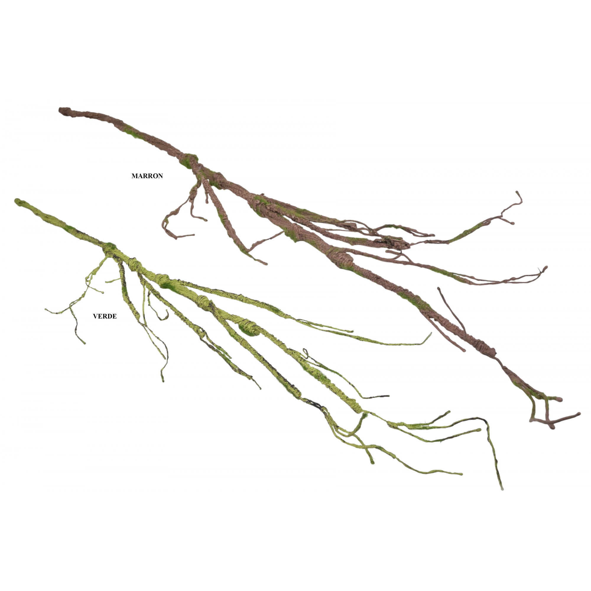 VERDE 1110 -120 cms.  RAIZ-