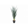 PLANTA 6171 -105 cms. ALOE-