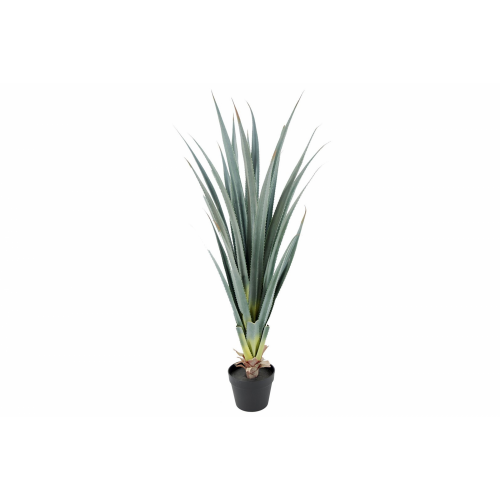 PLANTA 6171 -105 cms. ALOE-