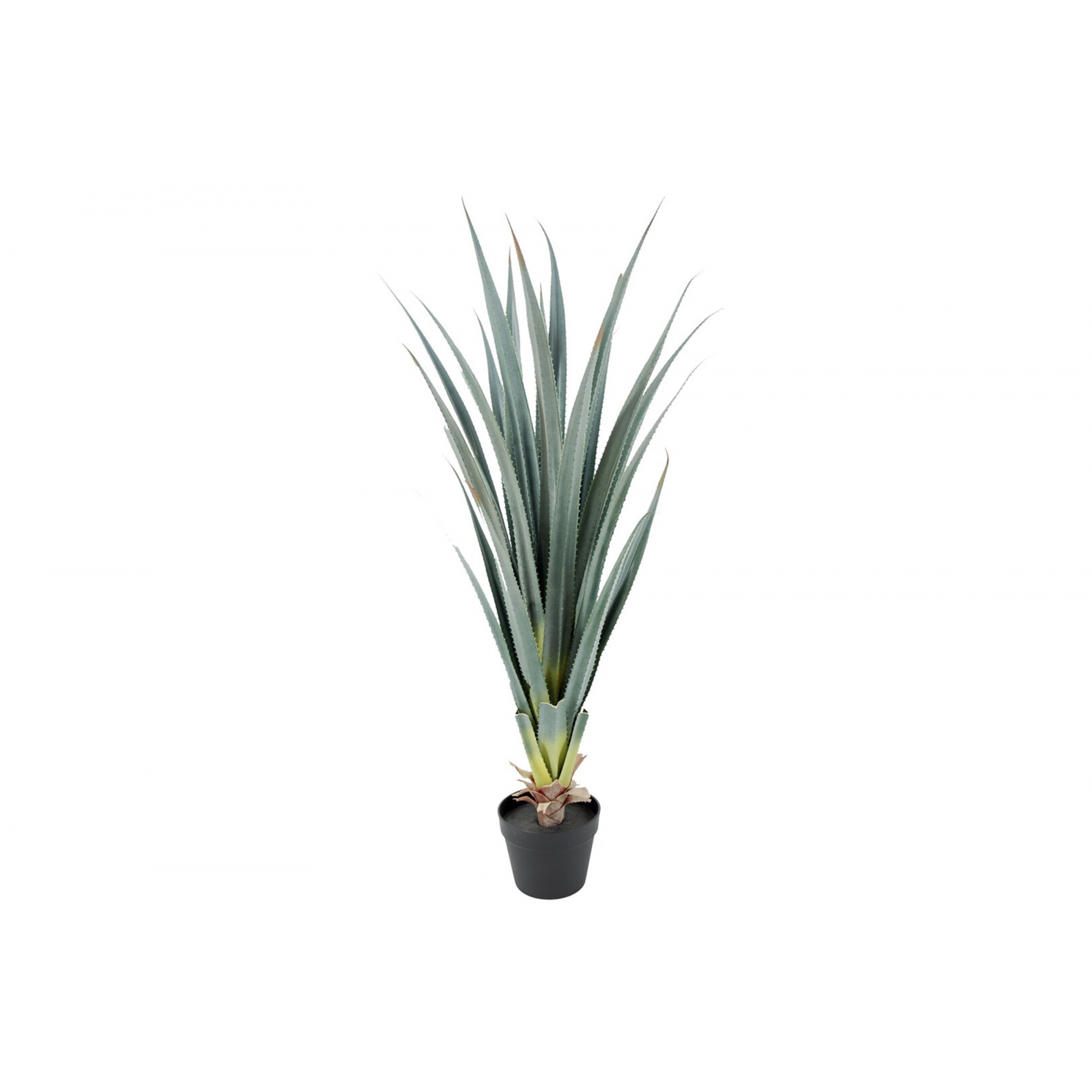 PLANTA 6171 -105 cms. ALOE-