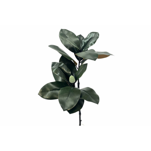 VERDE 7741 -80 cms. MAGNOLIA TN-