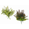 VERDE 949 -35 cms.  ARBUSTO x7-