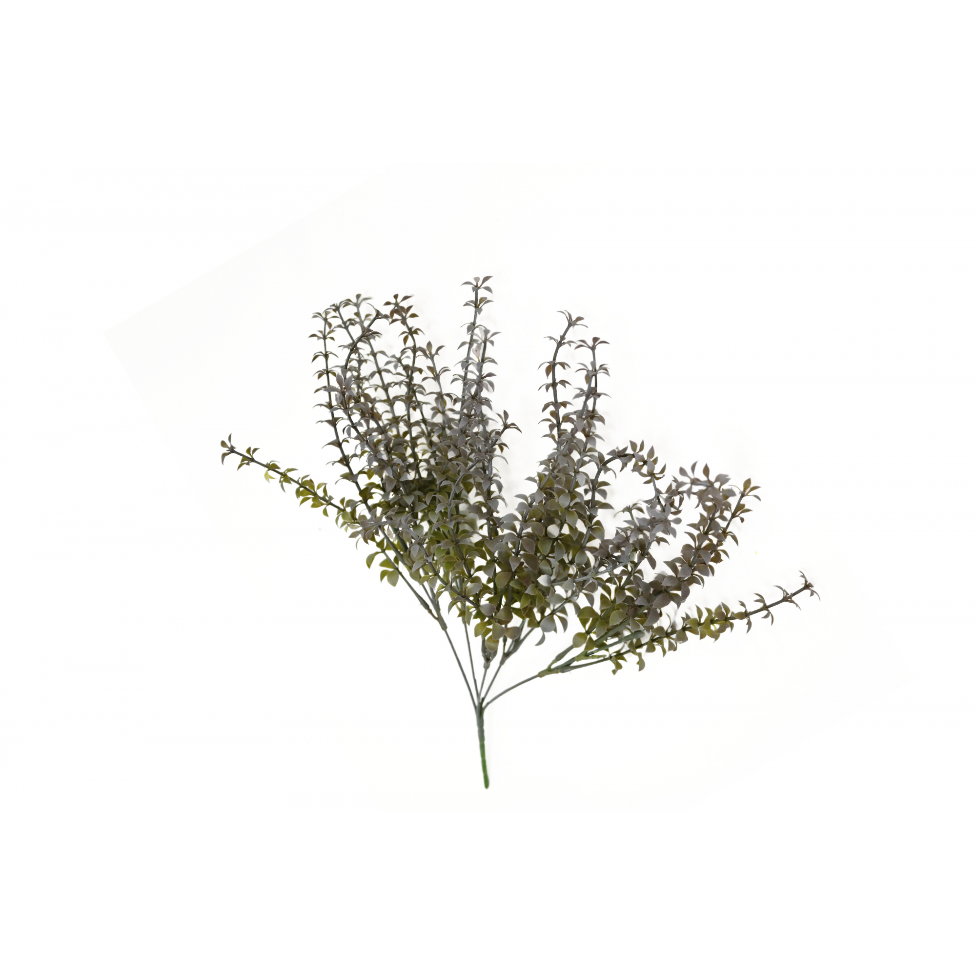 VERDE 1012 -44 cms. ARBUSTO x5 ( 2 varas)-
